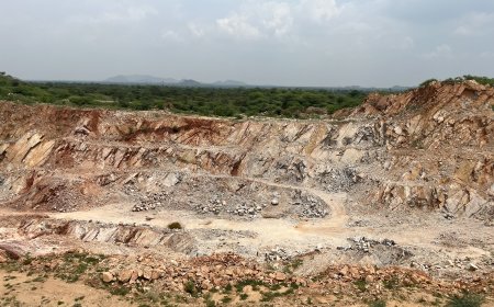 Citizens Demand Law to Declare Aravalli Destruction an Ecological Crime
