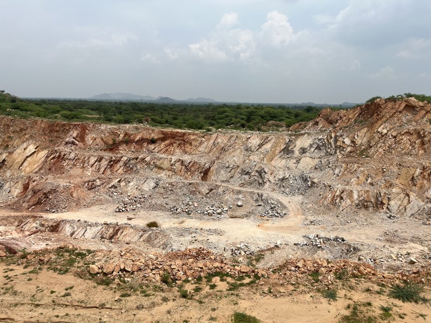 Citizens Demand Law to Declare Aravalli Destruction an Ecological Crime