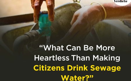 Delhi High Court Pulls Up DJB for Supplying Contaminated Water