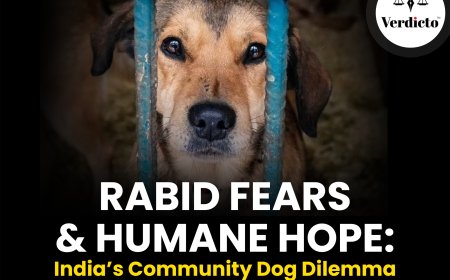 Rabid Fears & Humane Hope: India's Community Dog Dilemma