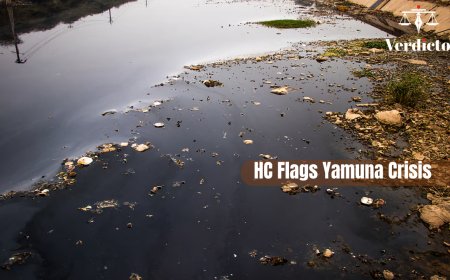 Delhi High Court on Yamuna Pollution: DPCC Directed to Submit Industrial Waste Chart | Environmental Law Case Study