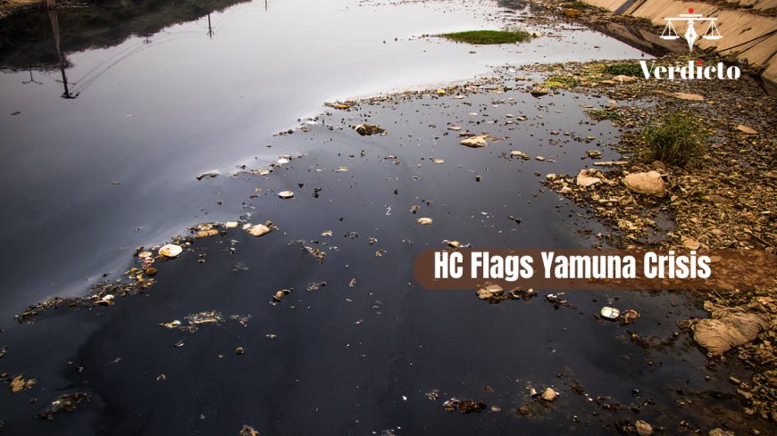 Delhi High Court on Yamuna Pollution: DPCC Directed to Submit Industrial Waste Chart | Environmental Law Case Study
