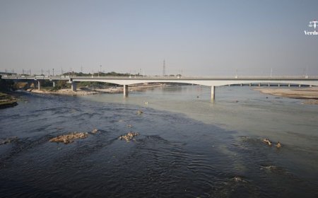 Delhi Drains Highly Polluted, Yet Yamuna Quality Improves: A Data Mismatch?