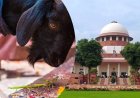 Can Animal Sacrifice Be Banned? Supreme Court Issues Notice to Centre on PIL