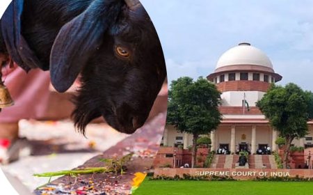 Can Animal Sacrifice Be Banned? Supreme Court Issues Notice to Centre on PIL
