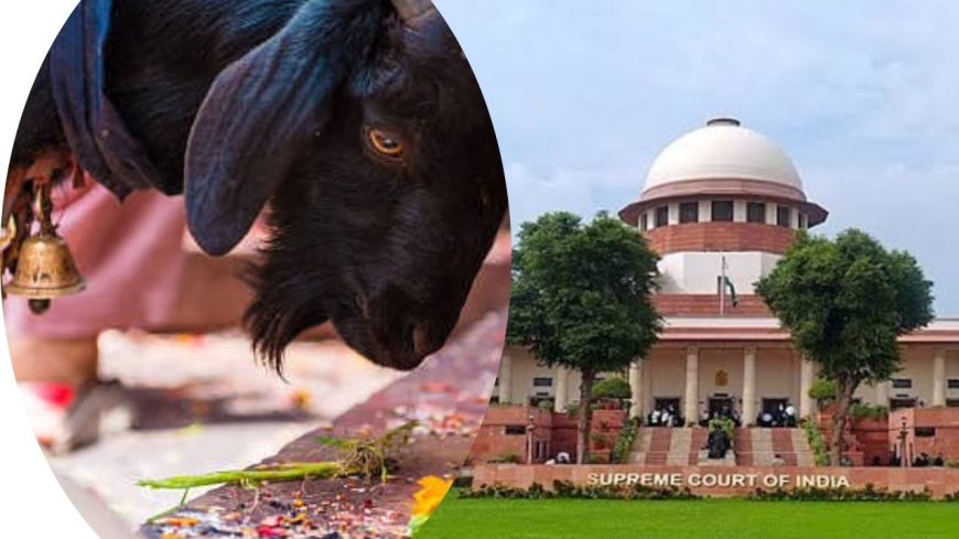 Can Animal Sacrifice Be Banned? Supreme Court Issues Notice to Centre on PIL