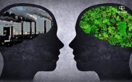 Supreme Court Reserves Verdict on Retrospective Environmental Clearances