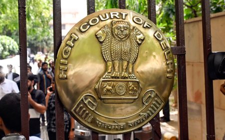 Delhi HC Orders Police Protection for Uttam Nagar Holi Violence Victim’s Family