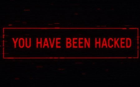 Delhi High Court VC Hearing Disrupted by Obscene Content