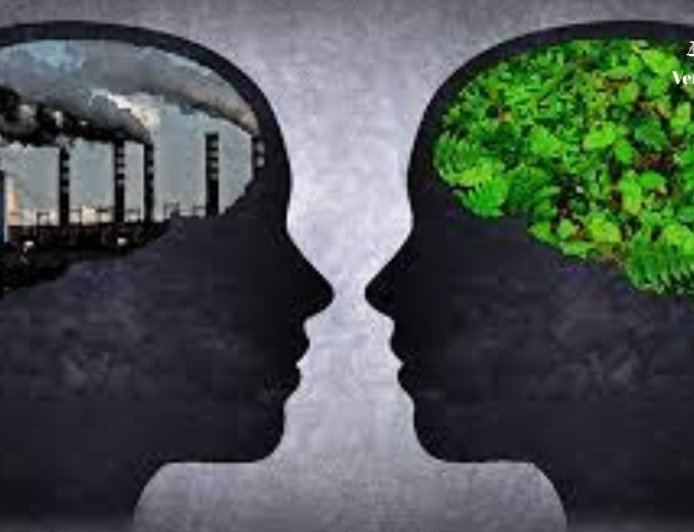 Supreme Court Reserves Verdict on Retrospective Environmental Clearances