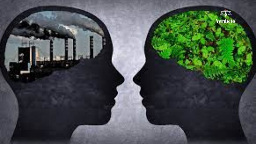 Supreme Court Reserves Verdict on Retrospective Environmental Clearances