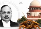 Unemployed Youngsters Like Cockroaches Become Media, Activists: CJI Surya Kant
