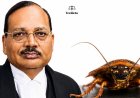 CJI Surya Kant Reacts On Plea Against Cockroach Janata Party