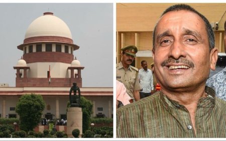 Can an MLA Be Treated as a Public Servant for Prosecution Under the POCSO Act?
