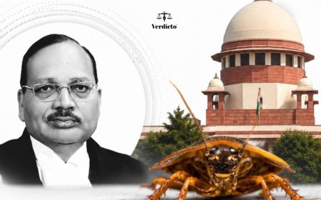 Unemployed Youngsters Like Cockroaches Become Media, Activists: CJI Surya Kant
