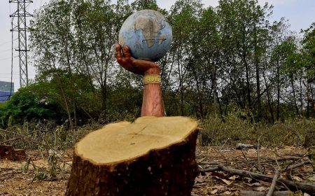 Supreme Court Restrains Tree Felling in Eco-Sensitive Zone Around Hyderabad’s KBR National Park