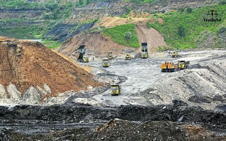 Hasdeo-Arand Coal Mining Gets Key Forest Clearance; 4.48 Lakh Trees May Be Felled in Chhattisgarh