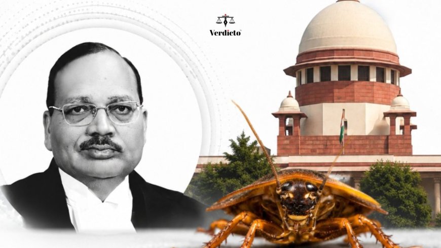 Unemployed Youngsters Like Cockroaches Become Media, Activists: CJI Surya Kant