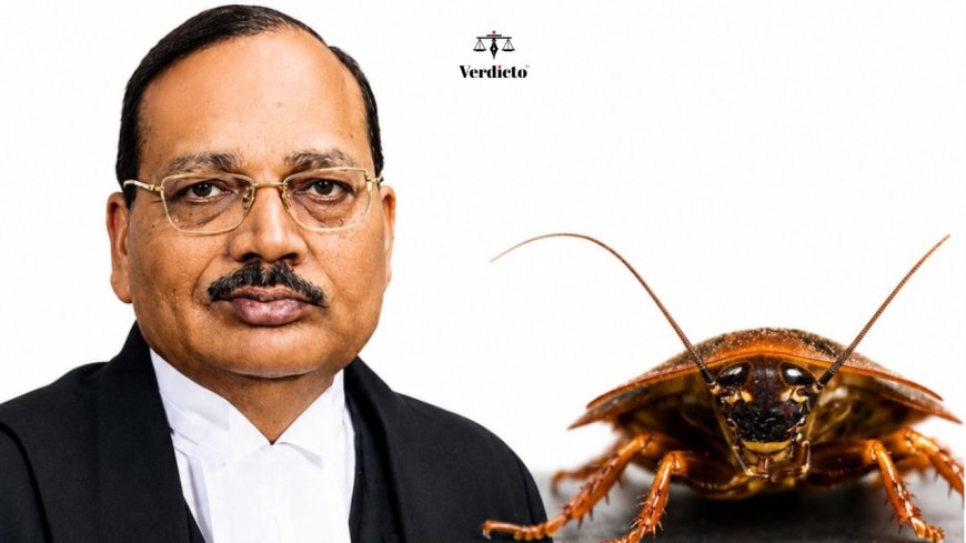 CJI Surya Kant Clarifies  His “Cockroaches” Remarks Amid Media Controversy