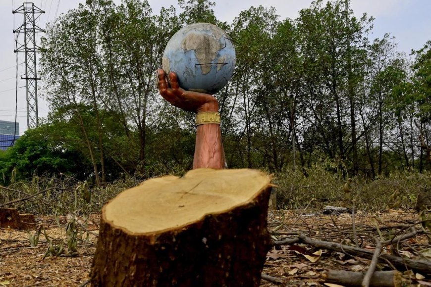 Supreme Court Restrains Tree Felling in Eco-Sensitive Zone Around Hyderabad’s KBR National Park