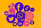 Delhi HC: Social Media Cannot Be Used to Malign Judiciary, Platforms Not Mere Spectators
