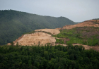 Need to Protect Forests Across the Country, Supreme Court Says While Declining to Interfere in Jharkhand Mining Case