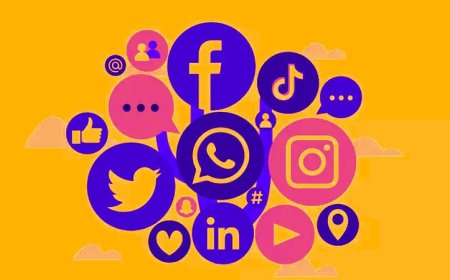 Delhi HC: Social Media Cannot Be Used to Malign Judiciary, Platforms Not Mere Spectators