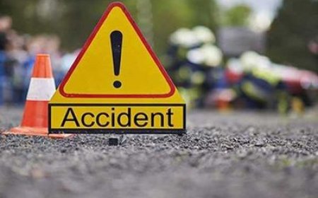 Delhi MACT Awards ₹92.58 Lakh Compensation to Mother of Woman Killed in Goa Road Accident