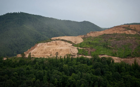 Need to Protect Forests Across the Country, Supreme Court Says While Declining to Interfere in Jharkhand Mining Case