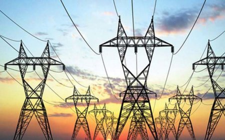 Are Delhi's Power Discoms Diverting Funds? Delhi HC Allows CAG Audit Process to Continue