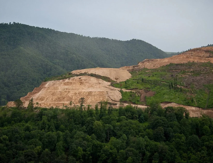 Need to Protect Forests Across the Country, Supreme Court Says While Declining to Interfere in Jharkhand Mining Case