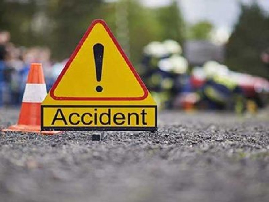 Delhi MACT Awards ₹92.58 Lakh Compensation to Mother of Woman Killed in Goa Road Accident