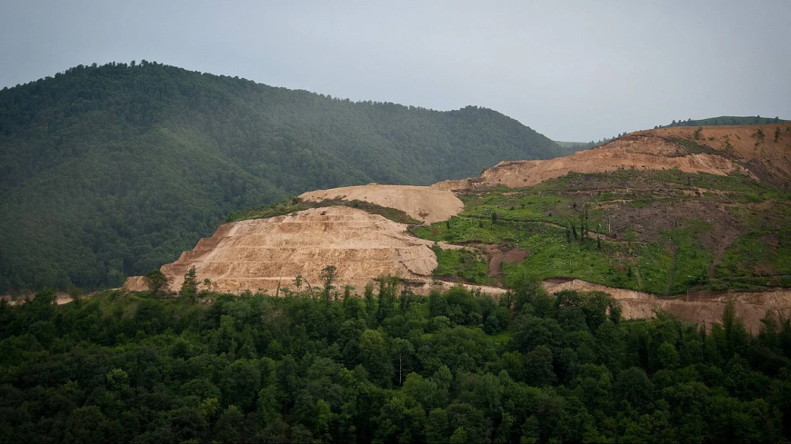 Need to Protect Forests Across the Country, Supreme Court Says While Declining to Interfere in Jharkhand Mining Case
