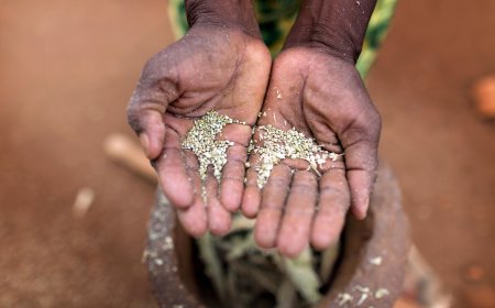 Food Security or Fiscal Reform? Why Tamil Nadu and Kerala Are Challenging the Centre's NFSA Amendment