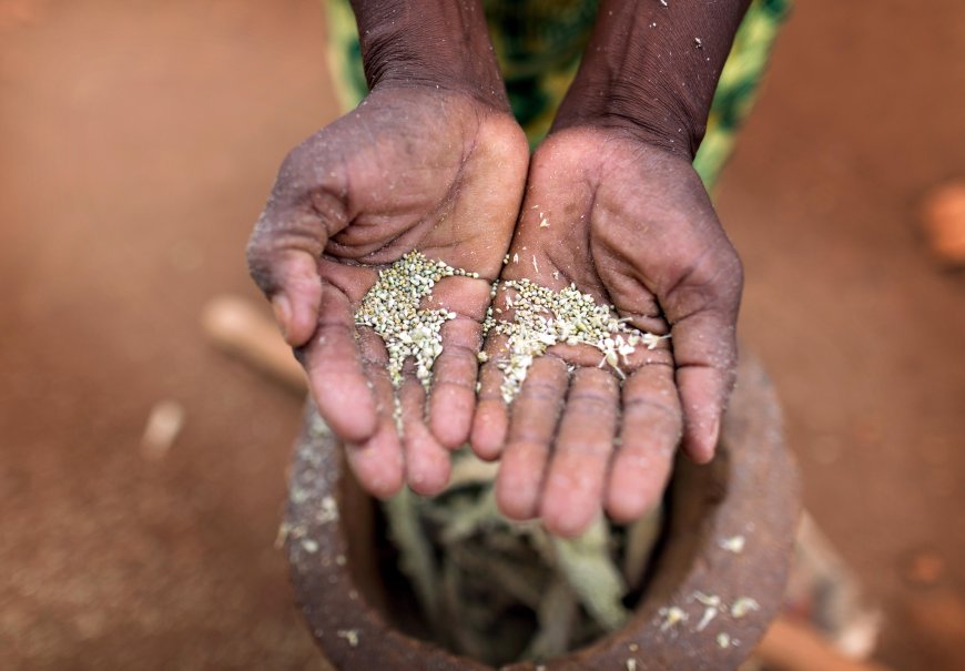 Food Security or Fiscal Reform? Why Tamil Nadu and Kerala Are Challenging the Centre's NFSA Amendment