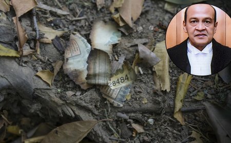 Yashwant Varma Case: Charges Proven, Judge Resigned — What Happens to the Cash Row Now?