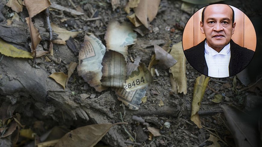 Yashwant Varma Case: Charges Proven, Judge Resigned — What Happens to the Cash Row Now?