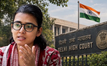 Citizens Need No Permission to Hoist the Flag, Neha Bora's Counsel Tells Delhi High Court